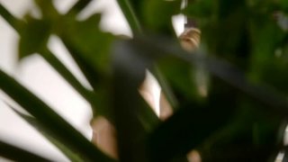 太意外了（单位上女司）平时高高在上看见鸡吧就流水